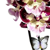 69c6b8b249d0c19e440b9ad9 Lepkeorchidea 52 cm - mély szeder-bordó (24)