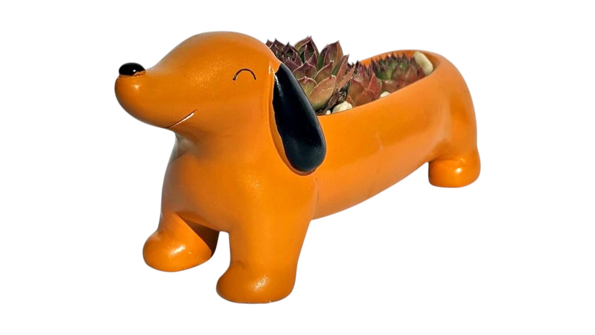 68e389972d43befffd27abff "Zen Mester" Kapibara (Vízidisznó) Kaspó