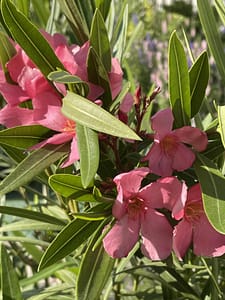 1add9f17-2652-4acb-875a-9aa7a085c1a0