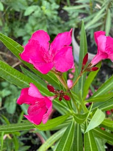 bea8d921-eb8b-4c13-a768-911ca1a530af