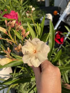 cbf81d02-99a1-478f-9acb-bd2fec81c432