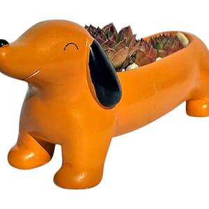 Tacskó virágtartó