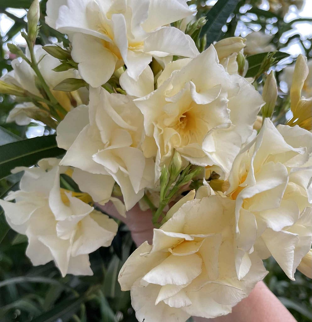 d1818413-507e-4641-b1ea-b973e1e31086